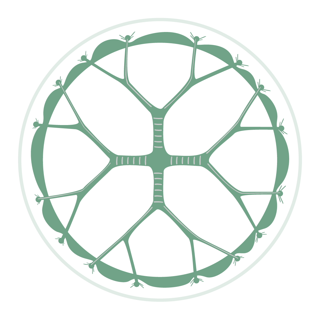 sound-gaukler-positive-impact-connected